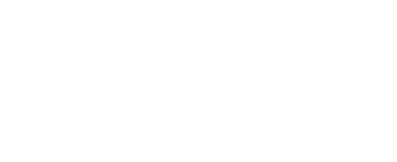 The Solution Factory